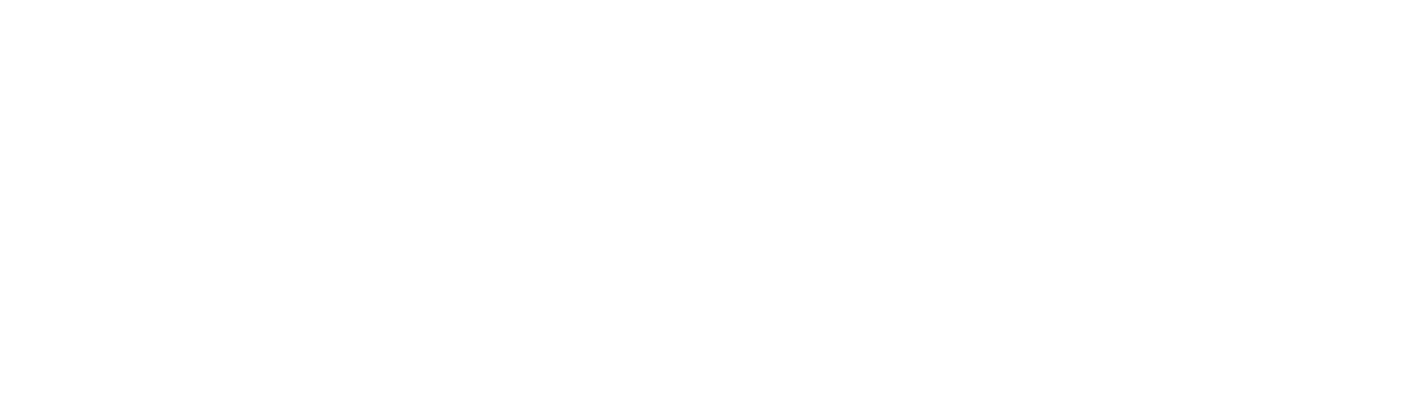 .NET logosu